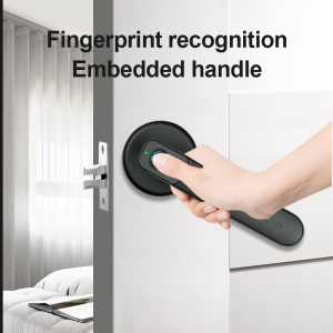 Fingerprint Electric Handle Home Door Lock Hidin'ny rantsantanana biometrika ho an'ny varavarana hazo