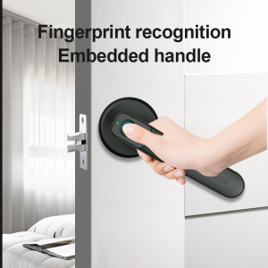 One Touch To Unlock Black Semiconductor Fingerprint Recognition Quickly Handle Smart Door Lock
