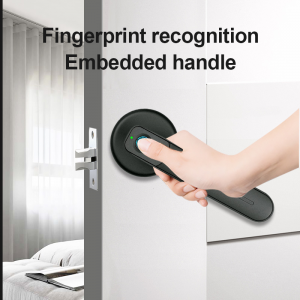 Fingerprint Electric Handle Home Door Lock Biometric fingerprint lock for Wooden door