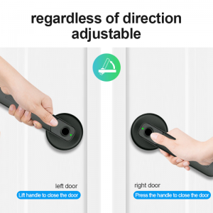 Ib Kov Kom Xauv Dub Semiconductor Fingerprint Recognition Ceev Ceev Qhov Rooj Xauv