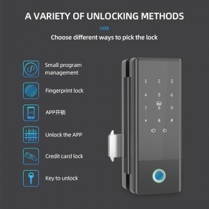 Ntse Electronic keyless password + ntiv tes + daim npav iav qhov rooj xauv